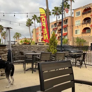 Patio area out front