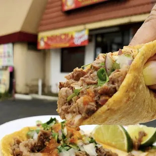 a hand holding a taco