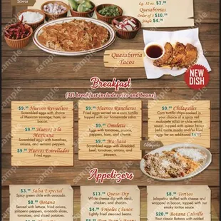 Menu with birria and appetizers.