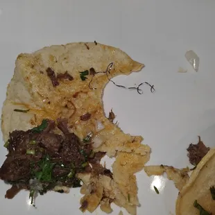 There was a Metal cleaning bristle inside the taco!