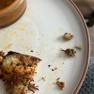 Large bones chunks from the birria pizza