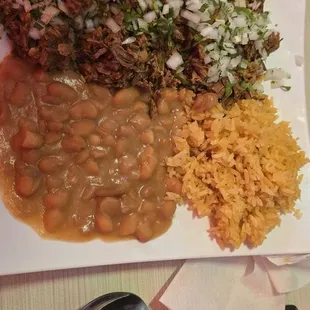 Birria Plate
