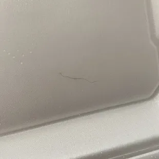 Hair in food .