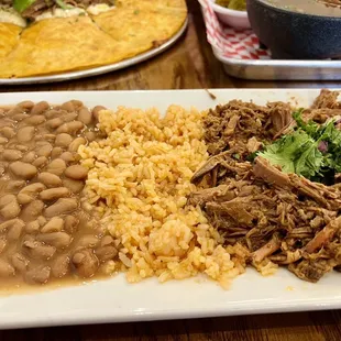 Birria Plate
