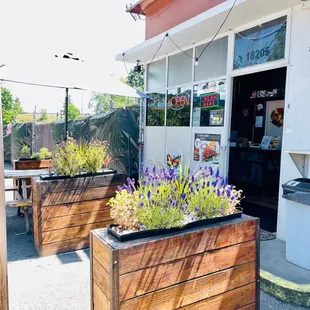 Entrance with lovely flowers