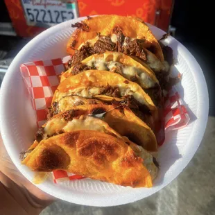 Cheesy Taco Dorados