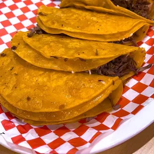 Dorado cheesy birria tacos