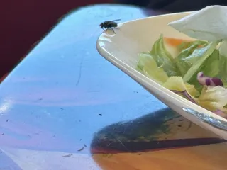 Nayarit Restaurant