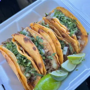 Quesabirria Tacos