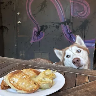 Grilled Artichoke + Dog Friendly