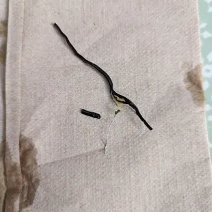 Twist Ties / Cable Ties found in biryani