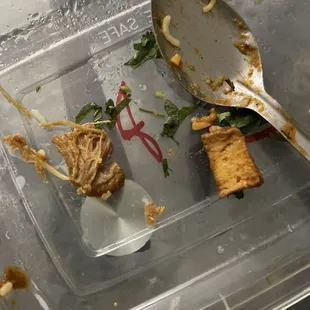 Piece of chicken and paneer in Vijayawada Paneer Biryani