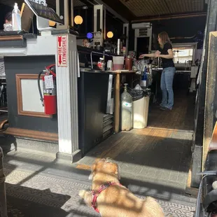 Dog friendly!!! such amazing people, I had to go back every day