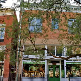 a tree in front of a building