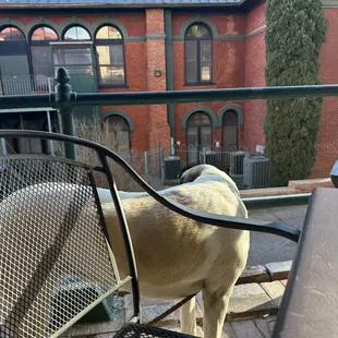 The Copper Queen library with a great balcony overlooking Main Street