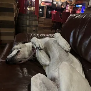 Winnie will be on every tour