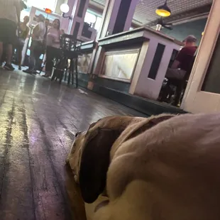 The bisbee grand saloon is our starting point