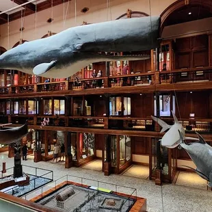 Inside the Hawaiian Hall