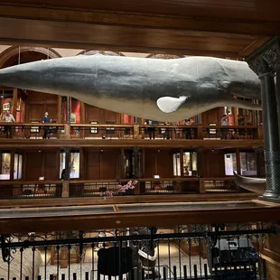 Great, beautiful museum