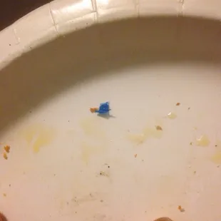 The blue plastic I found in my pizza!