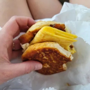 a person holding a sandwich