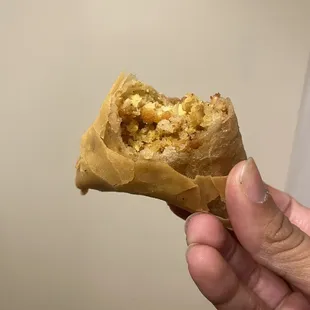 Chicken Meat Samosa