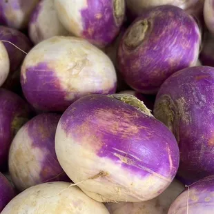 Turnip