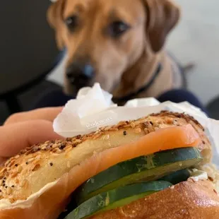 Salmon bagel