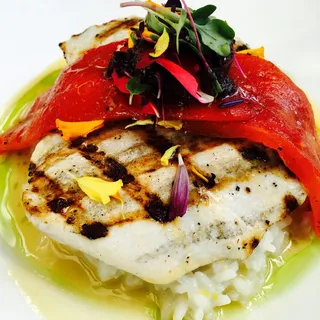 Grilled Pacific Swordfish