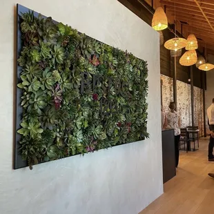 Succulent wall near host station