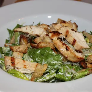 Caesar Salad w/chicken (shrimp also available)