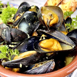oysters and mussels, food
