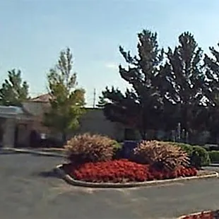 Bistro 737 is located on Turfway Rd next to Rafferty's.