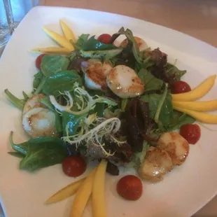 Scallop Salad