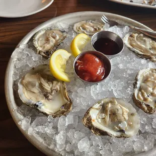Oysters