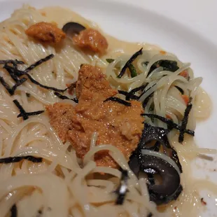 P11 - Spaghetti Sea Urchin (04/09/22)
