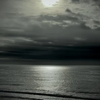 Steve M.
