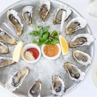 Oysters