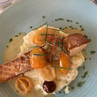 SEARED SCOTTISH SALMON FILET