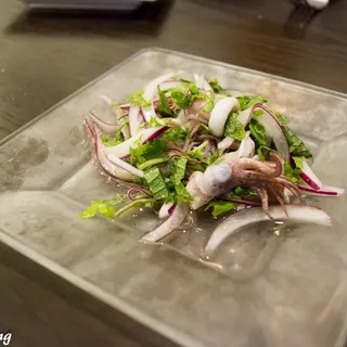 390522. Calamari Ceviche