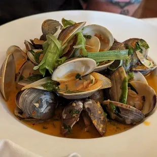 Fresh Clams in creamy tomato broth