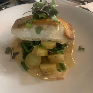 Halibut