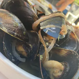 Moules Frites @Bistro Vida MP CA Mon 6/6/22