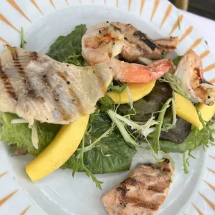 Seafood salad with catch of the day (trout)