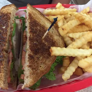 Turkey sandwich and fries