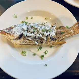 Fresh Whole Lane Snapper w/ Cruise Ship Sauce (Daily Special)