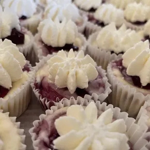 Mini Blueberry Cheesecake