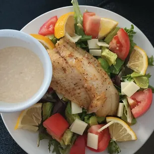 Grilled Tilapia salad