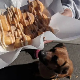 a person holding a dog