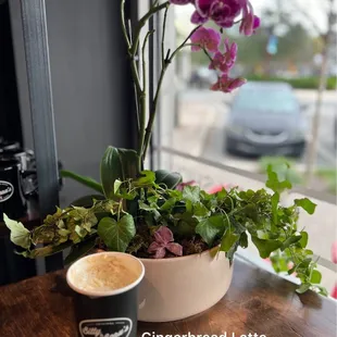 Gingerbread Latte (hot)